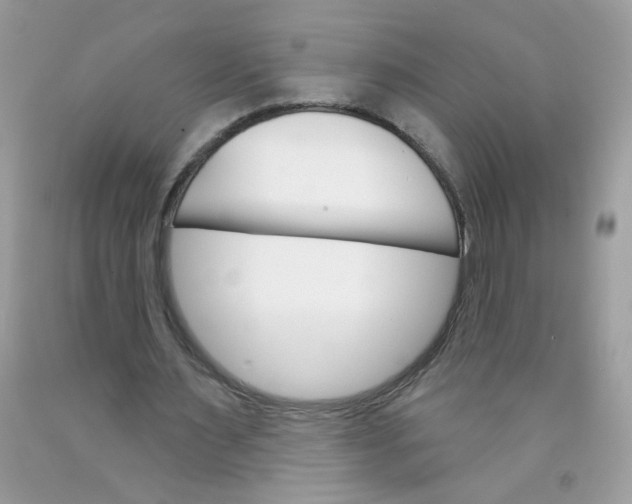 X0000089940483200707201906