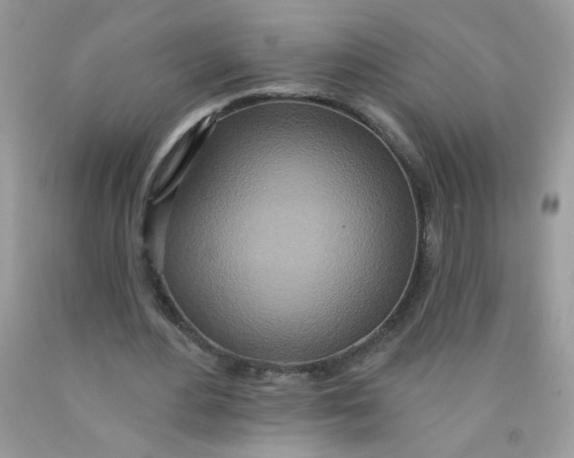 X0000089940484200707201906