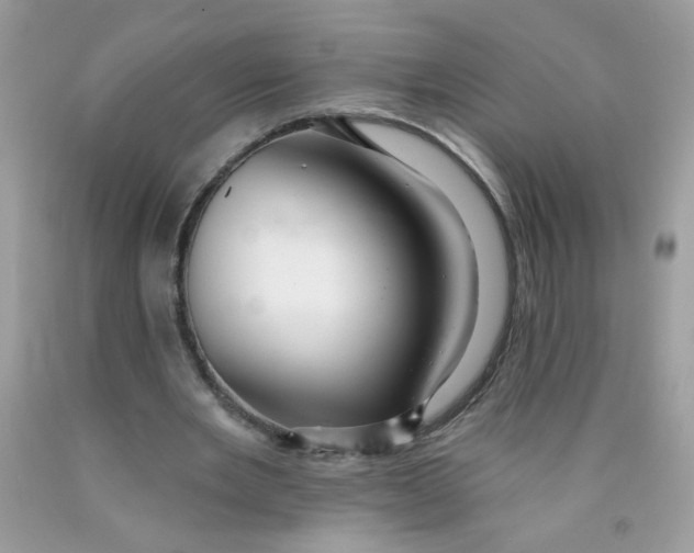 X0000089940485200707201906