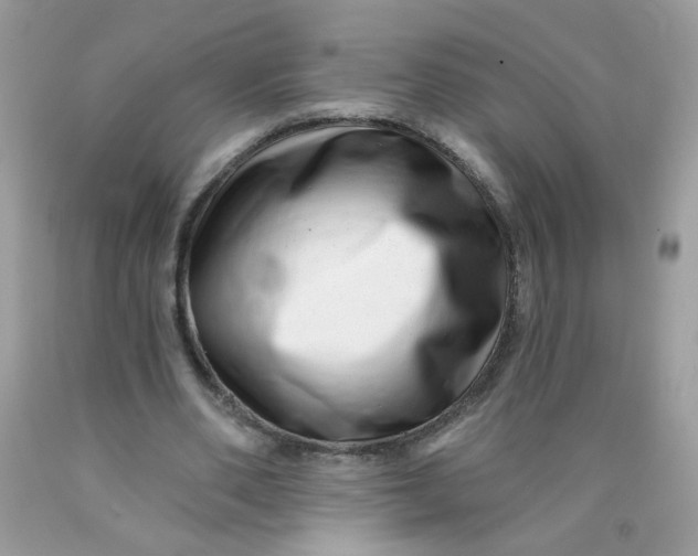 X0000089940486200707201906