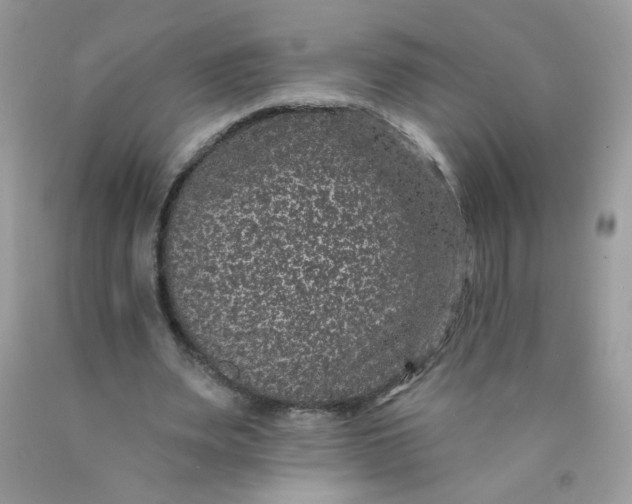 X0000089940487200707201906