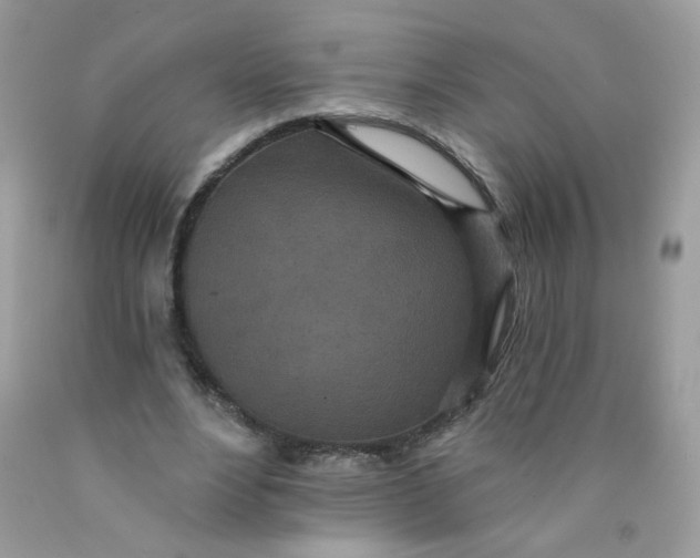 X0000089940488200707201906