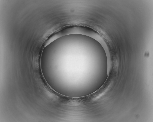 X0000089940489200707201906