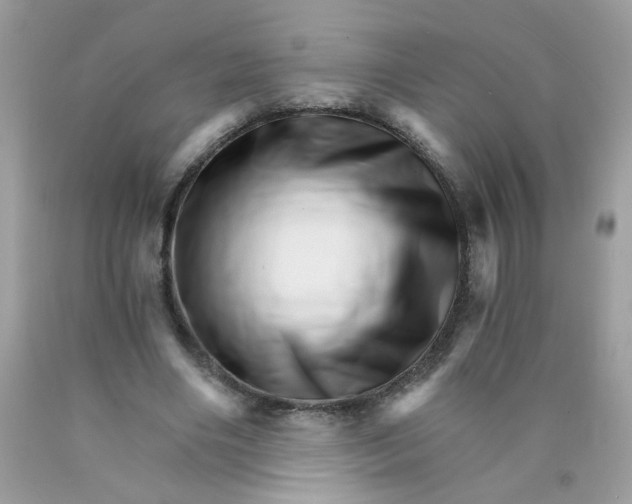 X0000089940490200707201906