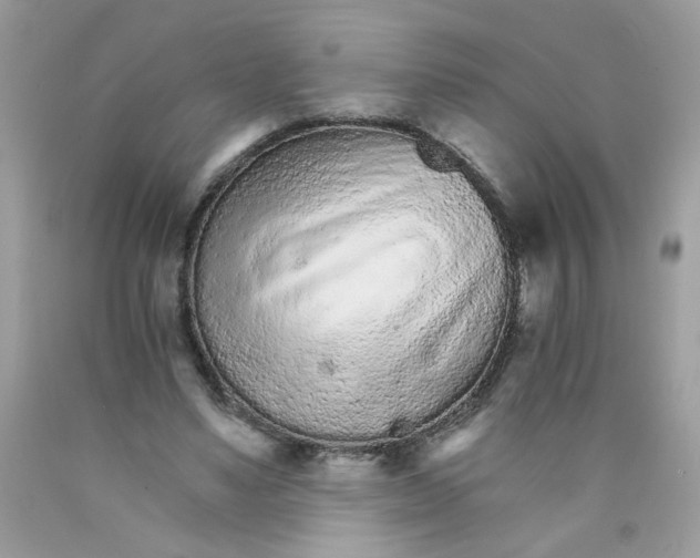 X0000089940491200707201906