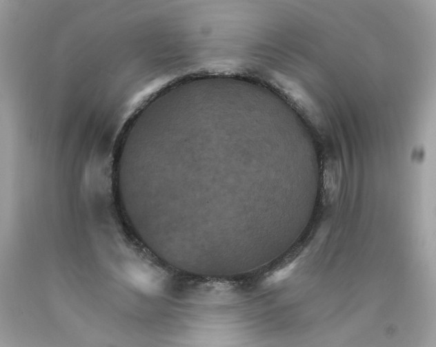 X0000089940492200707201906