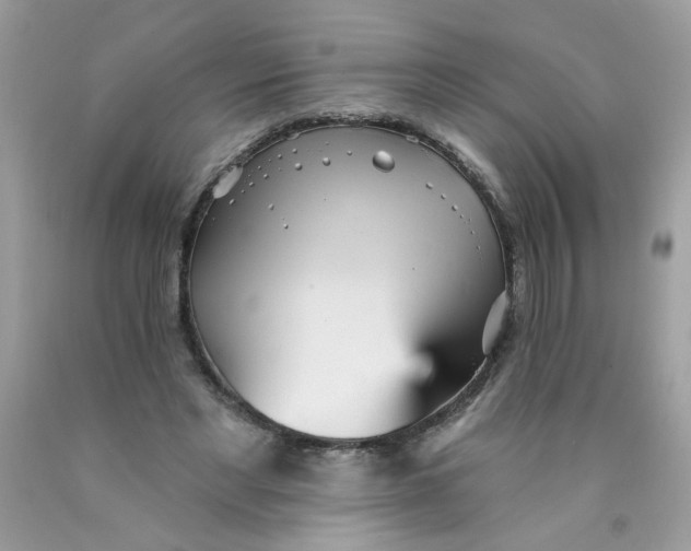 X0000089940493200707201906