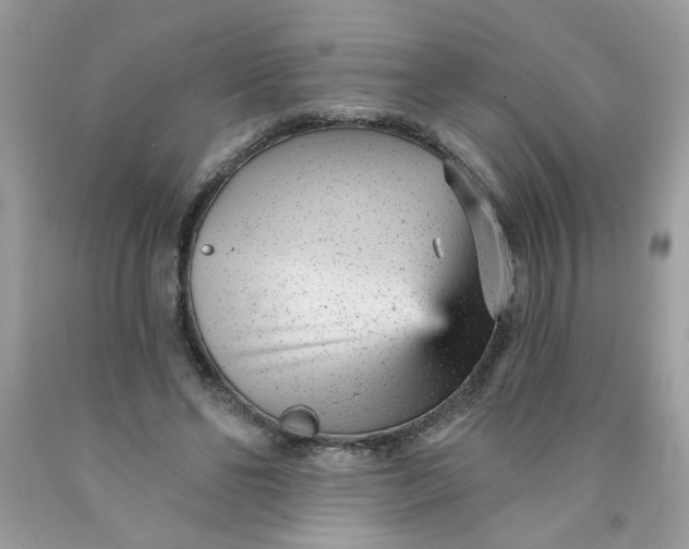 X0000089940494200707201906