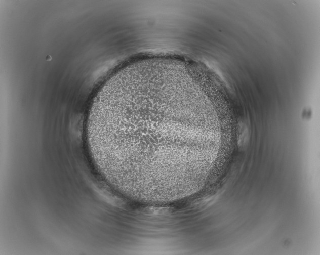 X0000089940495200707201906