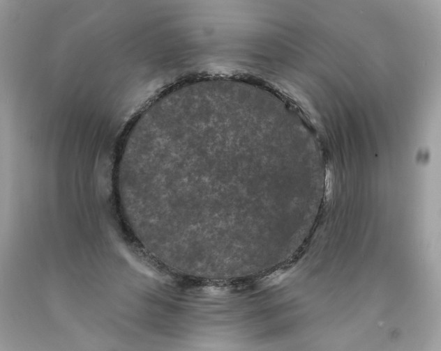 X0000089940496200707201906