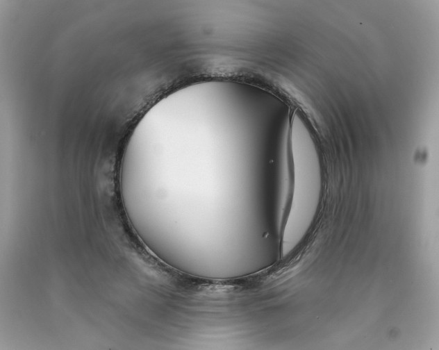 X0000089940497200707201906