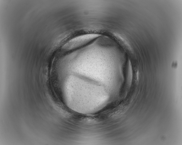 X0000089940498200707201906