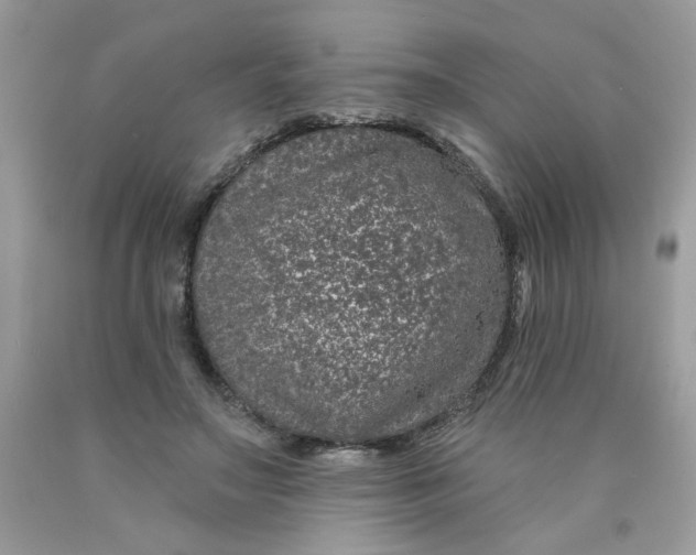 X0000089940499200707201906