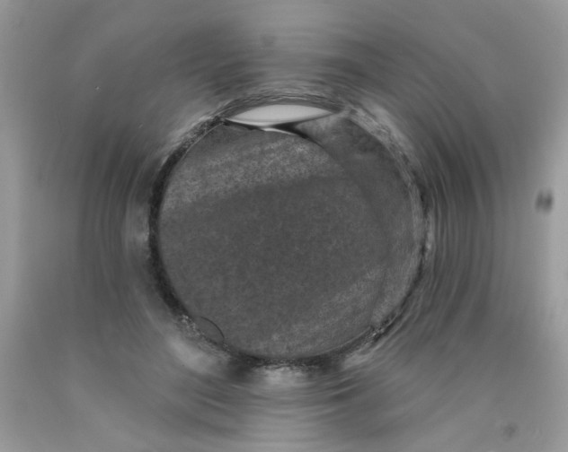 X0000089940500200707201906