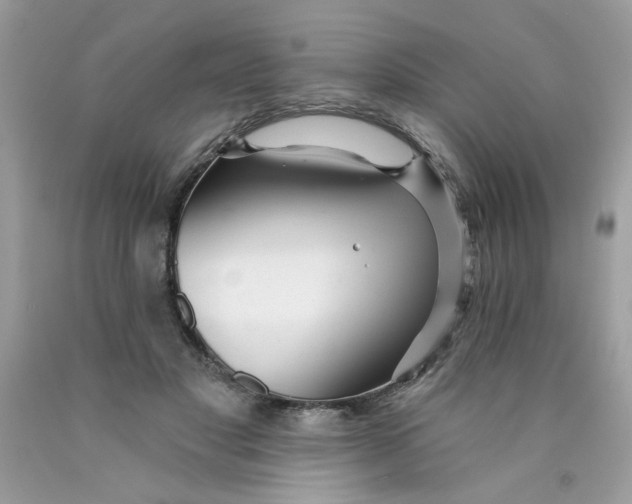 X0000089940501200707201906