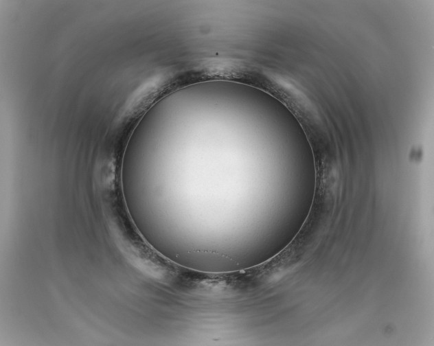 X0000089940502200707201906