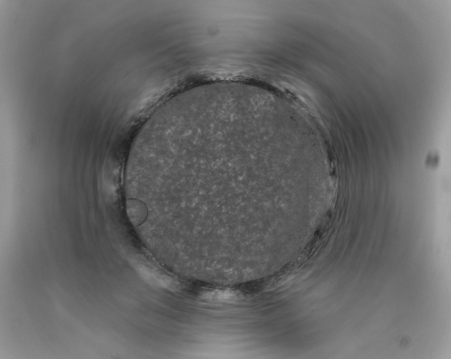 X0000089940503200707201906