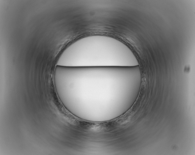 X0000089940504200707201906