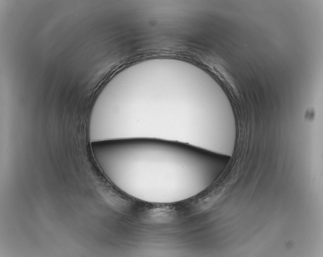 X0000089940505200707201906