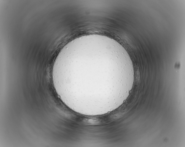 X0000089940506200707201906