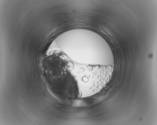 X0000089940507200707201906