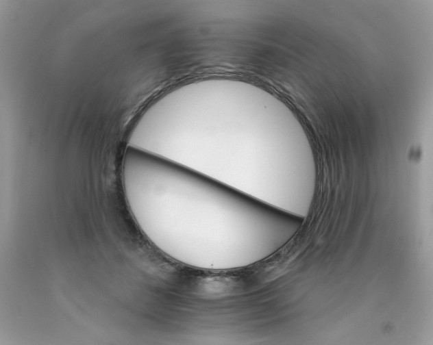 X0000089940508200707201906