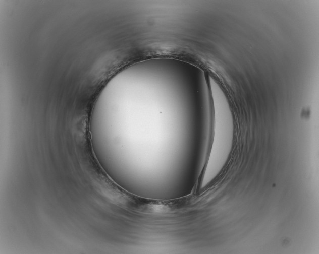 X0000089940509200707201906