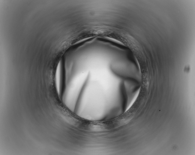 X0000089940510200707201906