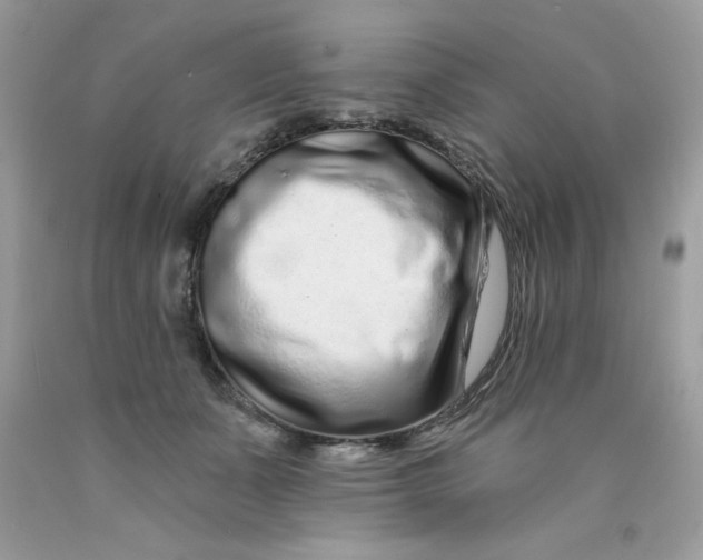 X0000089940511200707201906