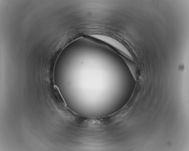 X0000089940512200707201906