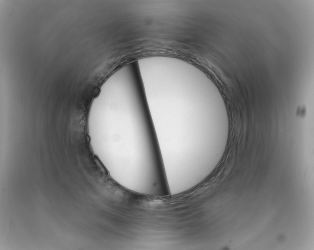 X0000089940513200707201906