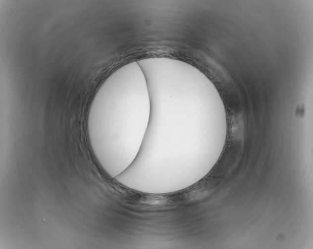 X0000089940514200707201906