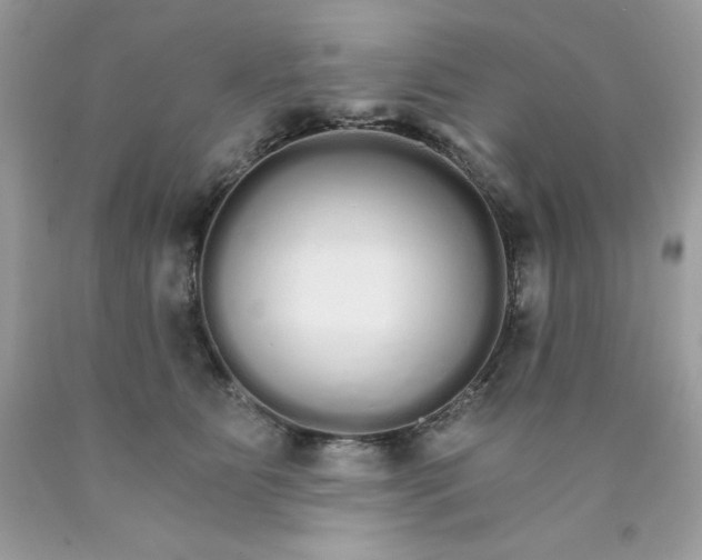 X0000089940515200707201906