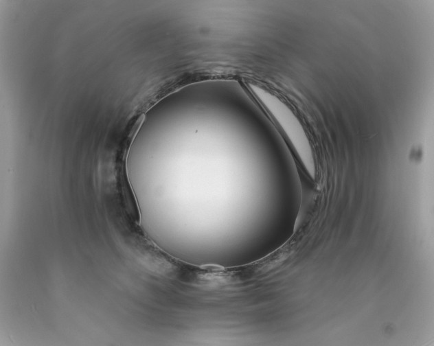 X0000089940516200707201906