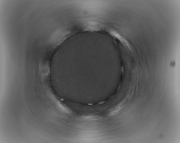 X0000089940517200707201906