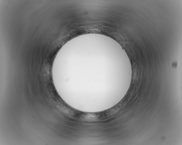 X0000089940518200707201906