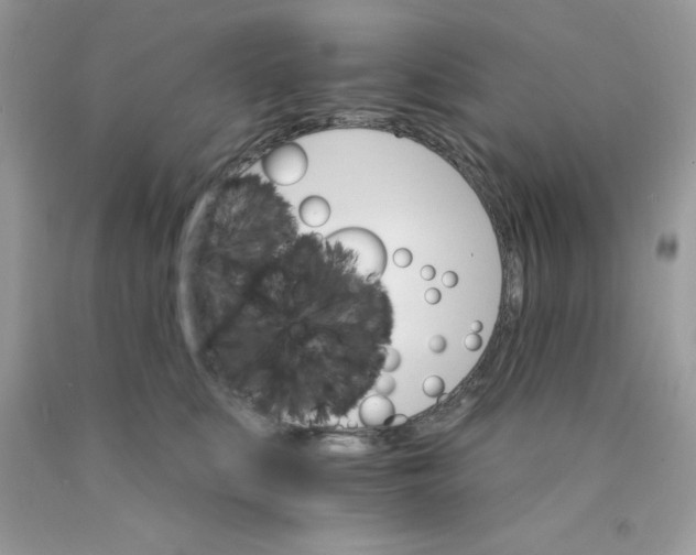 X0000089940519200707201906