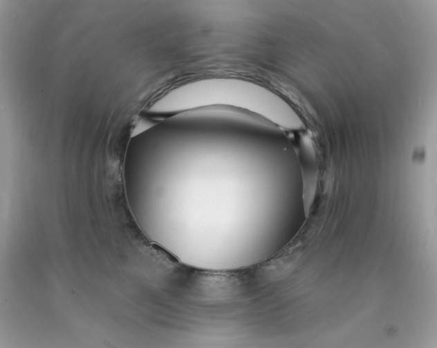 X0000089940521200707201906