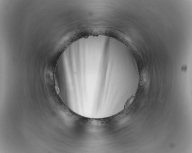 X0000089940522200707201906