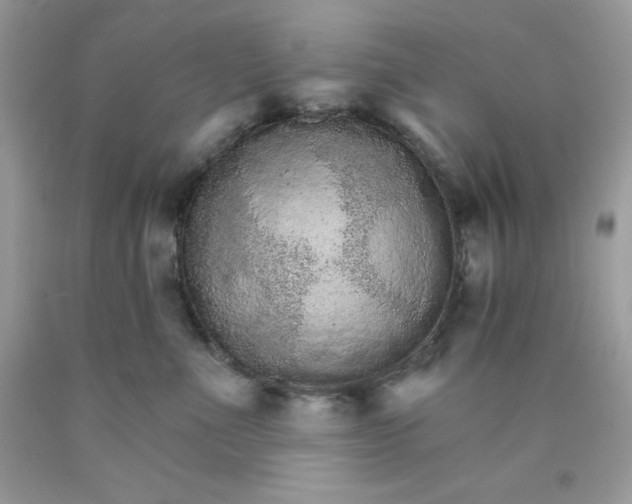 X0000089940523200707201906