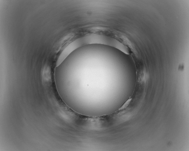 X0000089940524200707201906