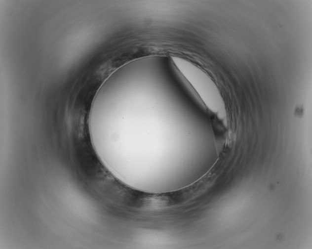 X0000089940525200707201906