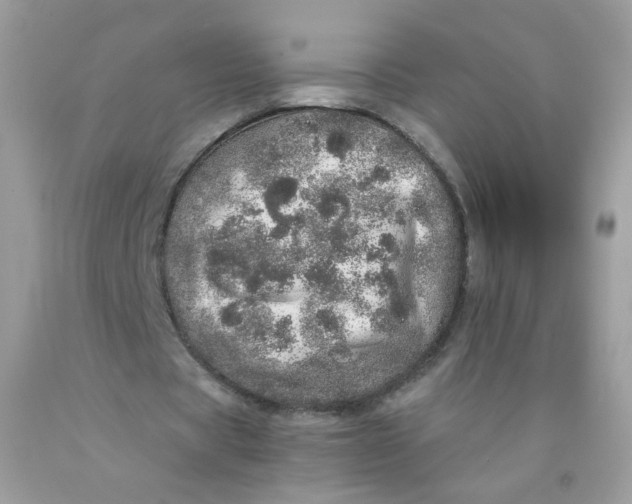 X0000089940529200707201905