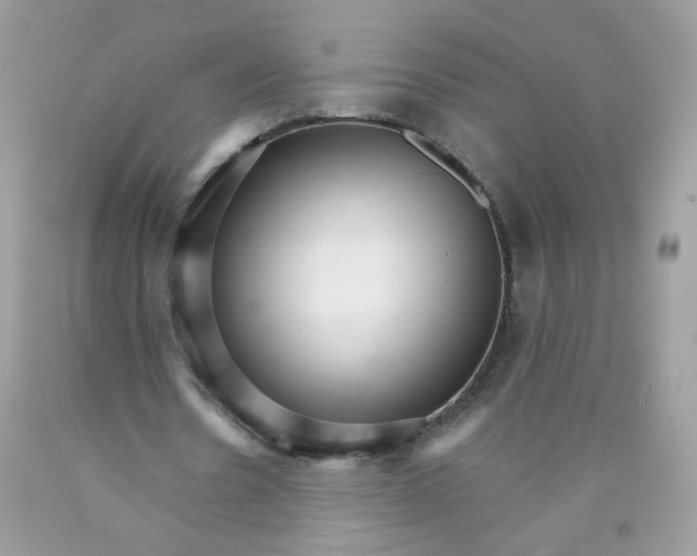 X0000089940530200707201905