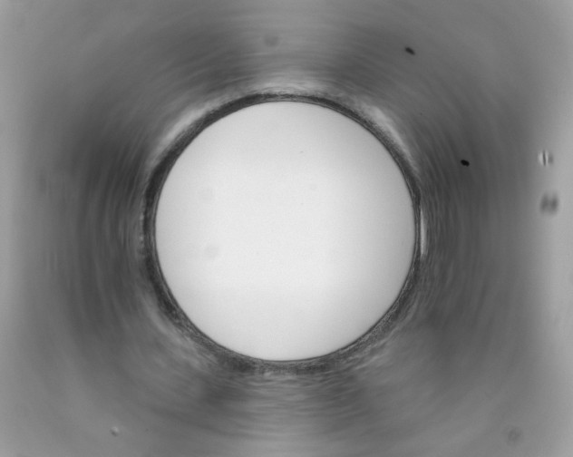 X0000089940531200707201905