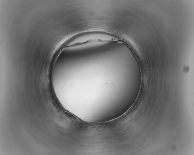 X0000089940532200707201905