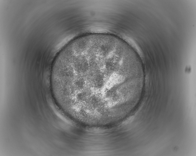 X0000089940533200707201905