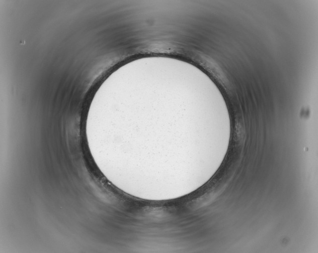 X0000089940534200707201905