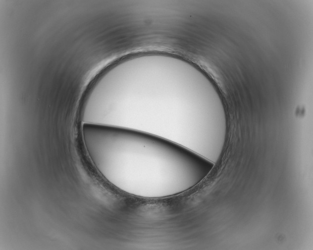 X0000089940536200707201905