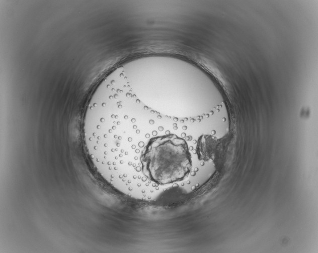 X0000089940537200707201905